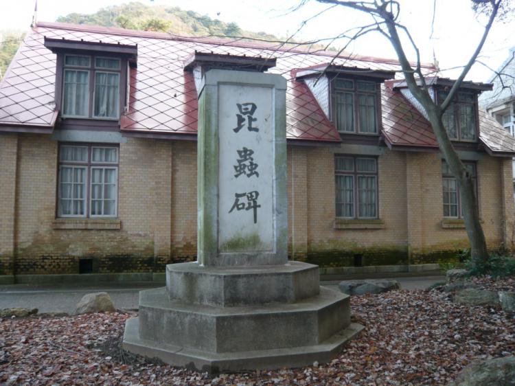 記念昆虫館の西側に建つ昆虫碑