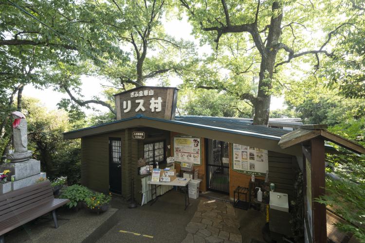 ぎふ金華山リス村