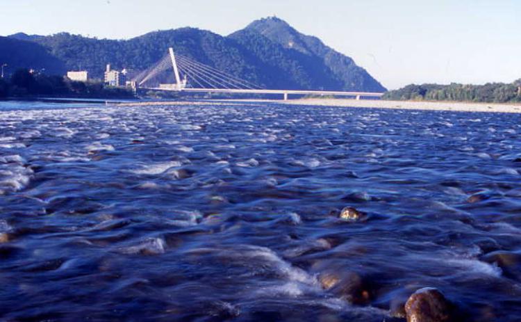 清流長良川/林 和俊