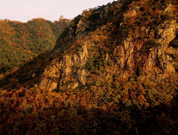 岩山の金華山/浅野 秀信