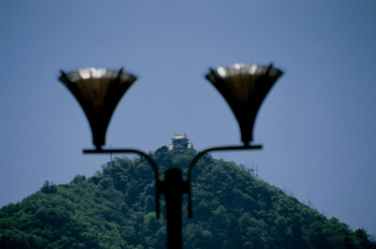 美しい山、金華山/浦野 妙子