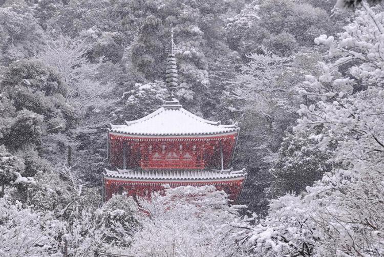 雪化粧/前田 昌信
