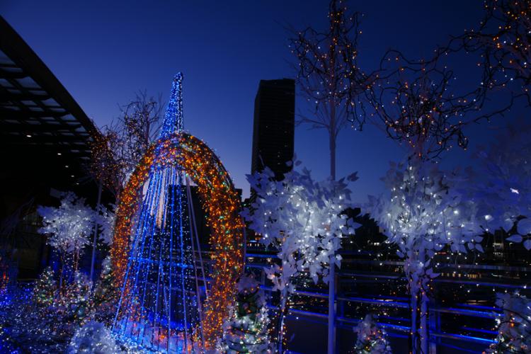 師走の華/榑松 貞美