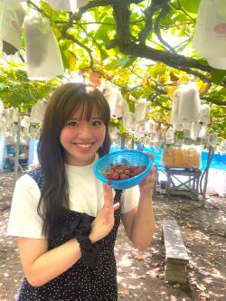 長良ぶどう狩り ぎふの四季 秋 岐阜観光コンベンション協会 長良ぶどう狩り ぎふの四季 秋 岐阜観光コンベンション協会