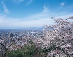 水道山の桜 ぎふの四季 春 岐阜観光コンベンション協会