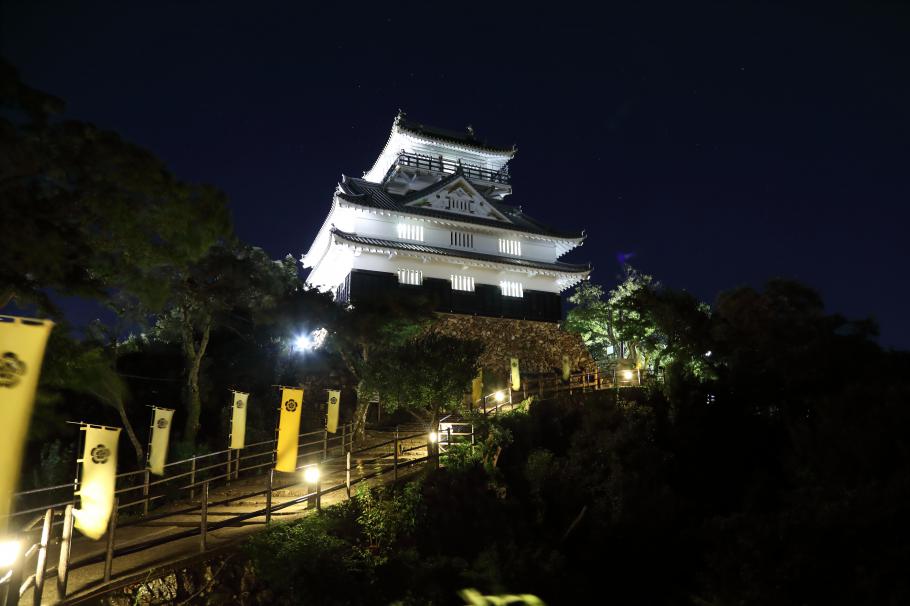 夜の岐阜城