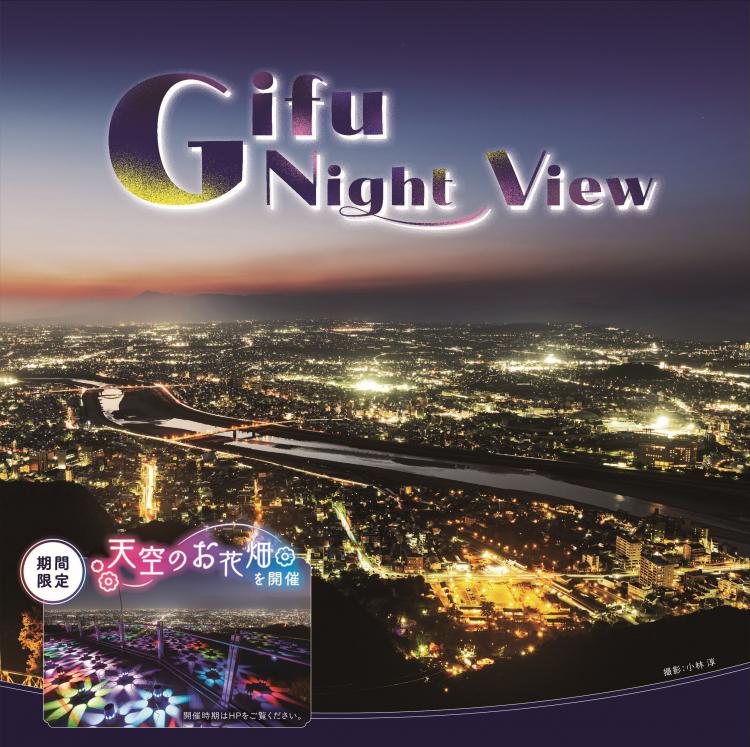 Gifu Night View