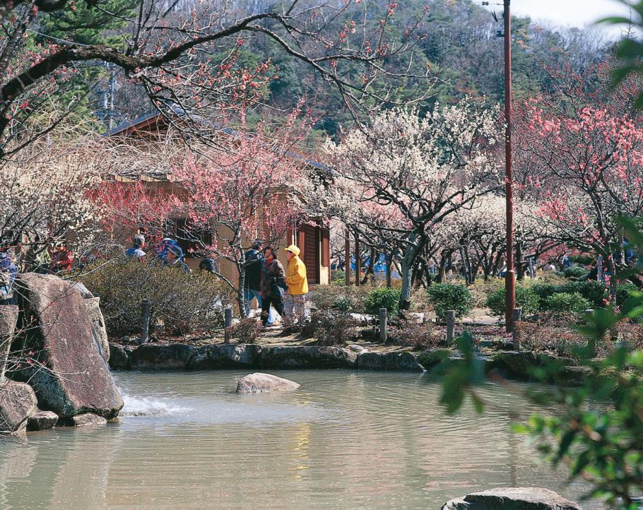 梅林公園