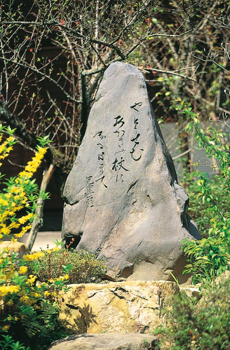 やとりせむあかさの杖になる日まで