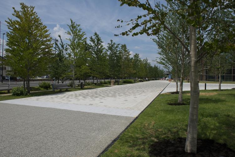 せせらぎの並木 テニテオ