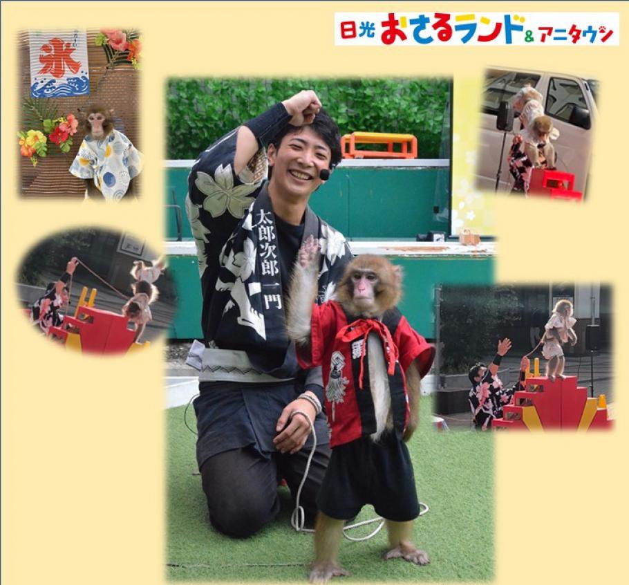 日光さる軍団「猿まわし公演」が開催中です!