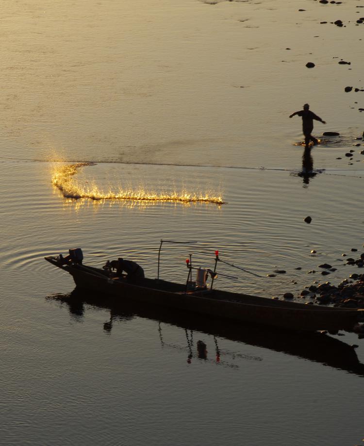 夕景長良川 ~落鮎を狙って~/本間 かよ