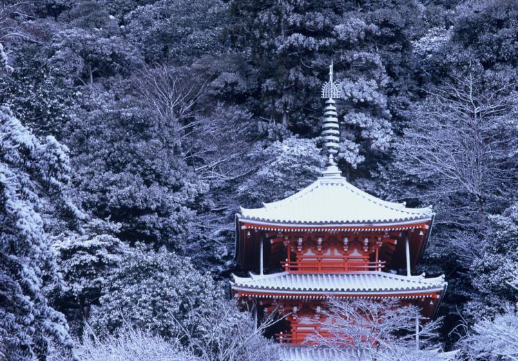 薄化粧/神山 守弘