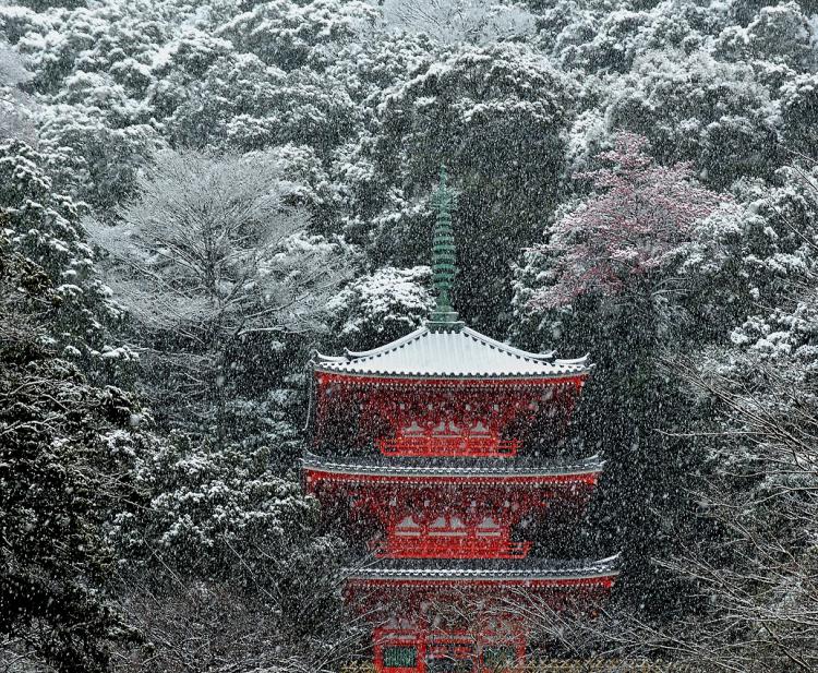 初雪の塔/川﨑 東剛