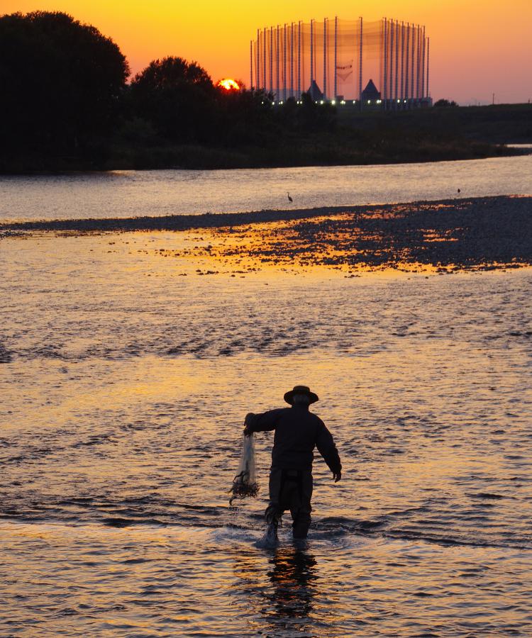 豊穣長良川と共に/本間 かよ