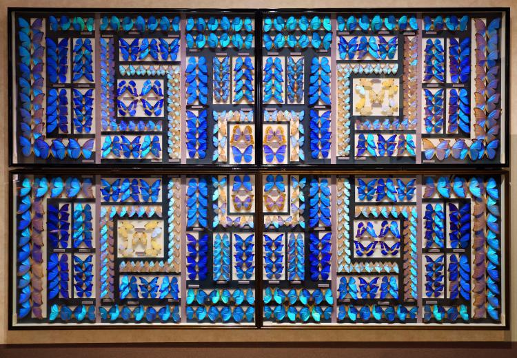 青き神秘のアフロディーテ/水野 英樹