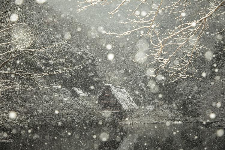 茅葺屋根の雪化粧(松尾池)/杉山 浩