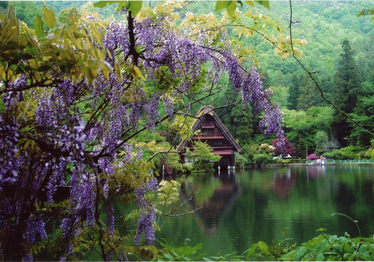 松尾池/吉田 正孝