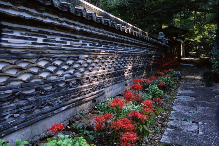 土塀と彼岸花/村瀬 重明