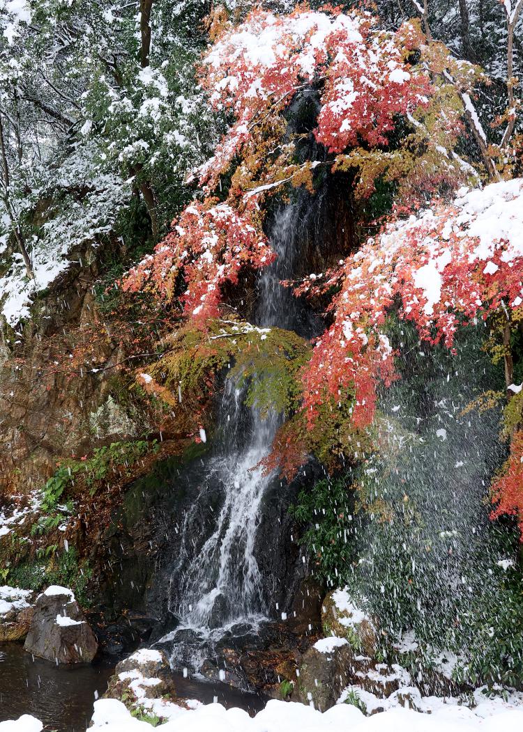 共演/中辻󠄀 義則