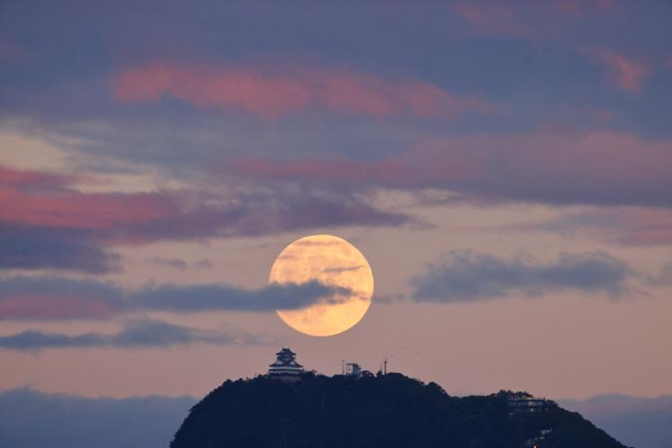 金華山夕景/山口 義文
