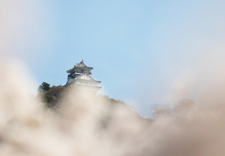 かすみか、雲か/迫 千尋