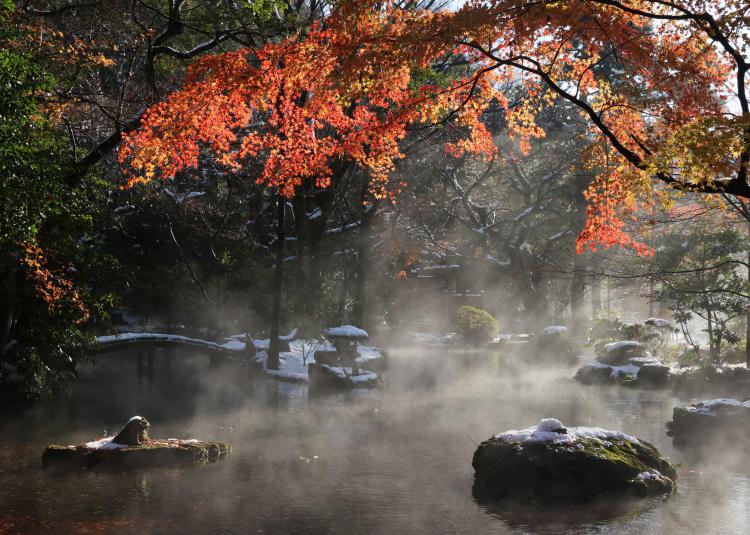 冬紅葉/中辻󠄀 和子