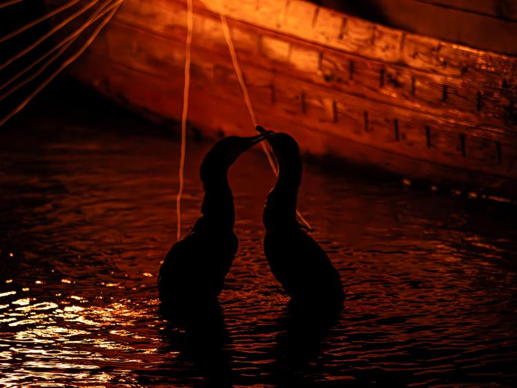 労い/馬場 博文