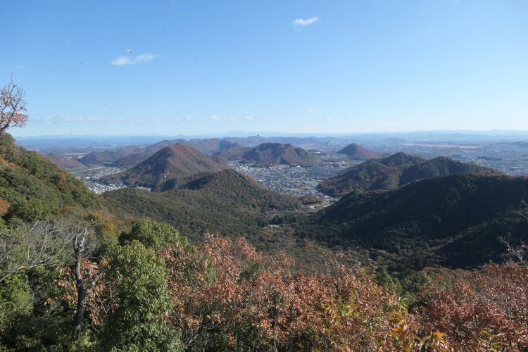 岐阜の宝物(シンボル)/伊藤 大悟