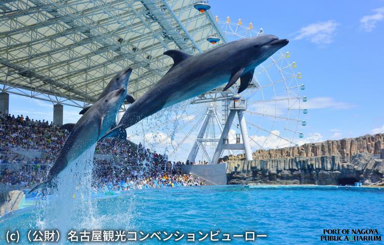 名古屋港水族館(名古屋市)