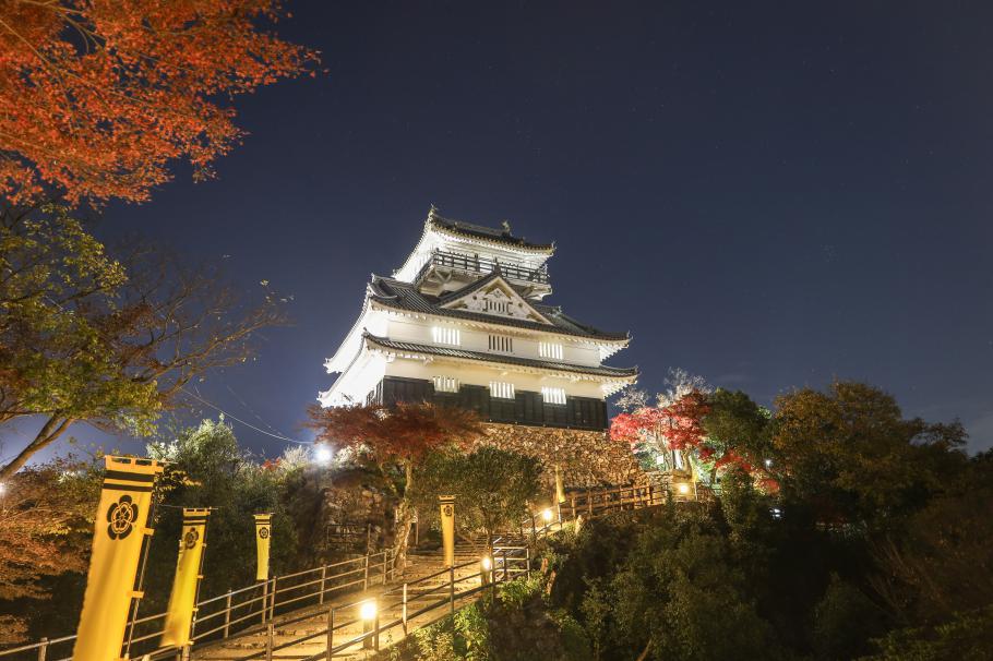 「岐阜城天守閣夜間貸切プラン」について