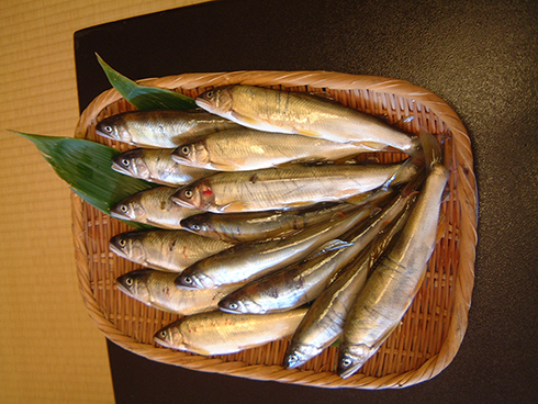 U-Ayu (sweetfish caught by cormorants)
