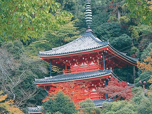 三重塔