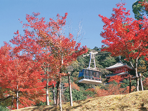 紅葉