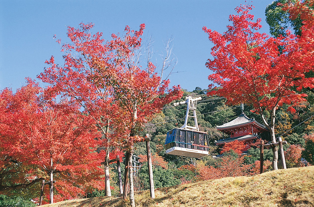 岐阜公園 岐阜觀光聯盟協會