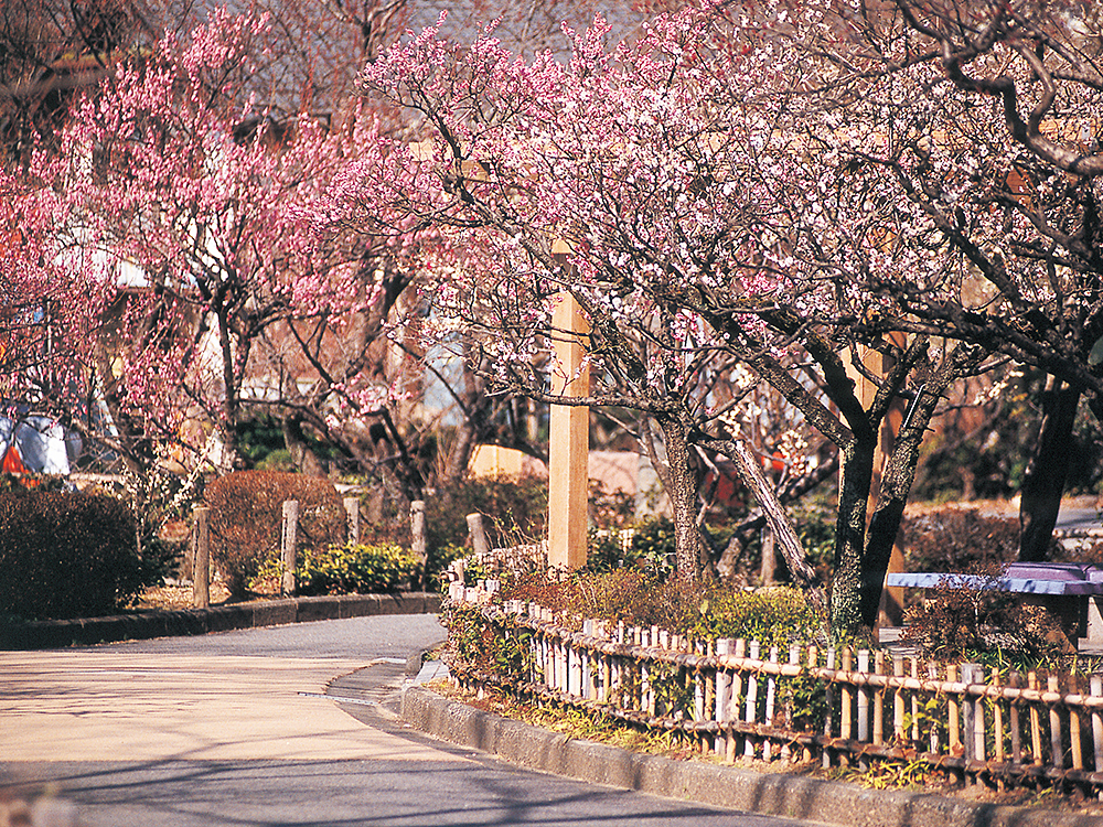 梅林公園