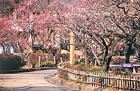 바이린 공원