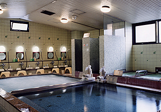 Sauna & Tube Hotel Gant