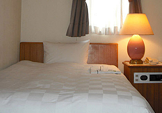 Hôtel Gifu Green