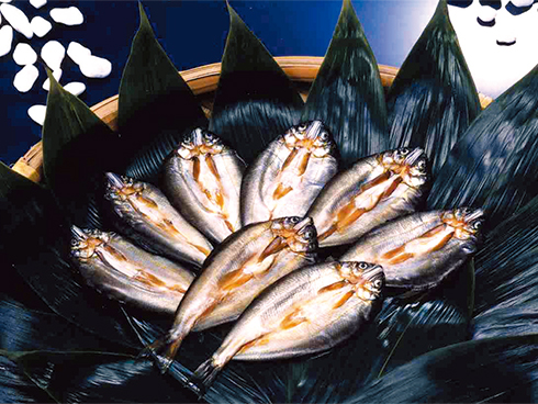 香魚一夜干