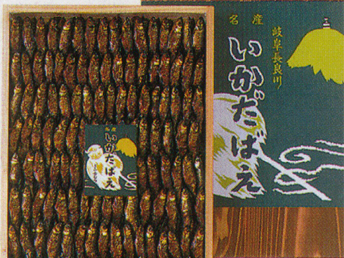 小魚佃煮(IkadaBae)