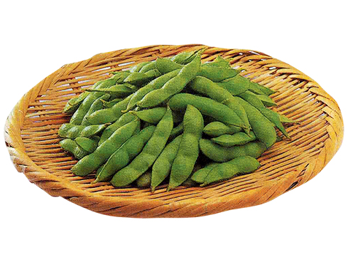 毛豆