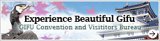 the banner