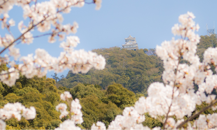 春の景色