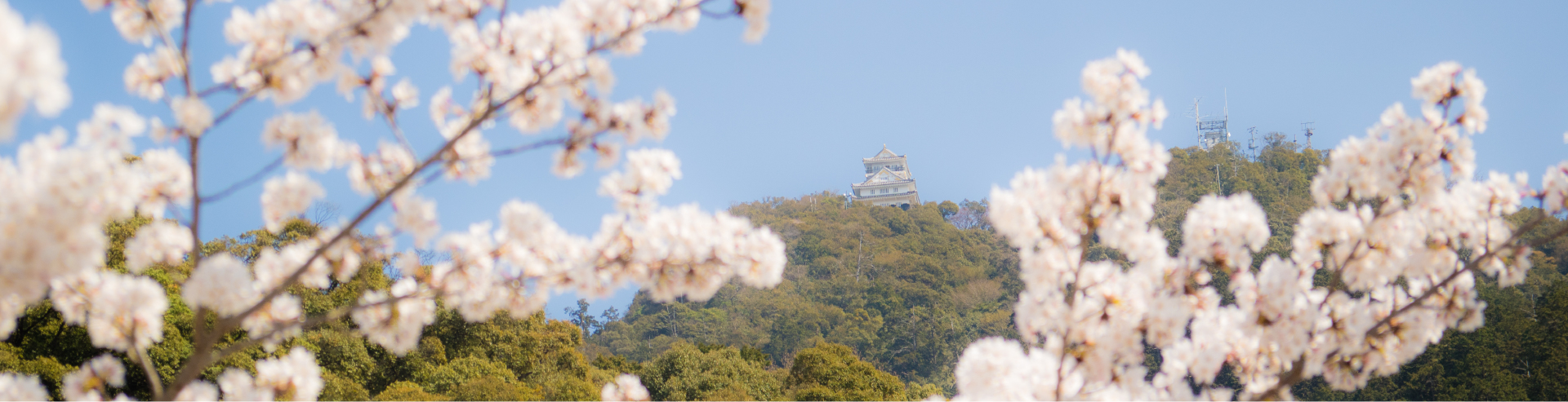 春の景色